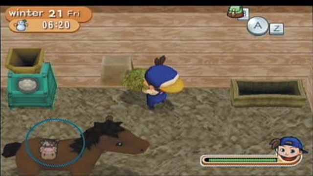 HonestGamers - Harvest Moon: Magical Melody (Wii)