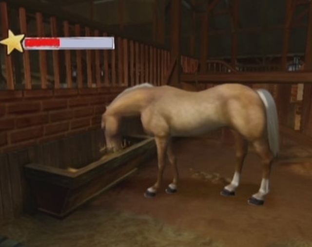 HonestGamers - Horse Life Adventures (Wii)