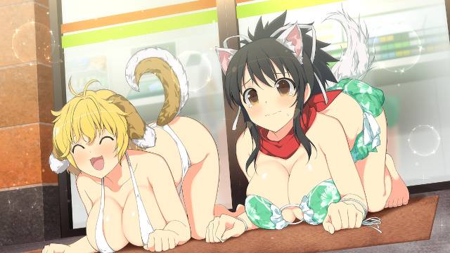 HonestGamers - Senran Kagura: Peach Ball (Switch) Review