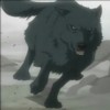wolfqueen001's avatar