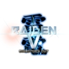 Raiden V: Directors Cut (PC)