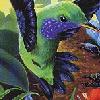 Kolibri (Sega 32X)