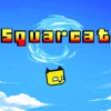 Squarcat (XSX) game cover art