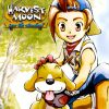 Harvest Moon: Save the Homeland artwork