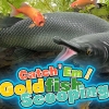 Catch 'Em! Goldfish Scooping artwork
